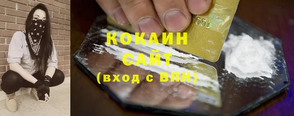 шишки Каменка